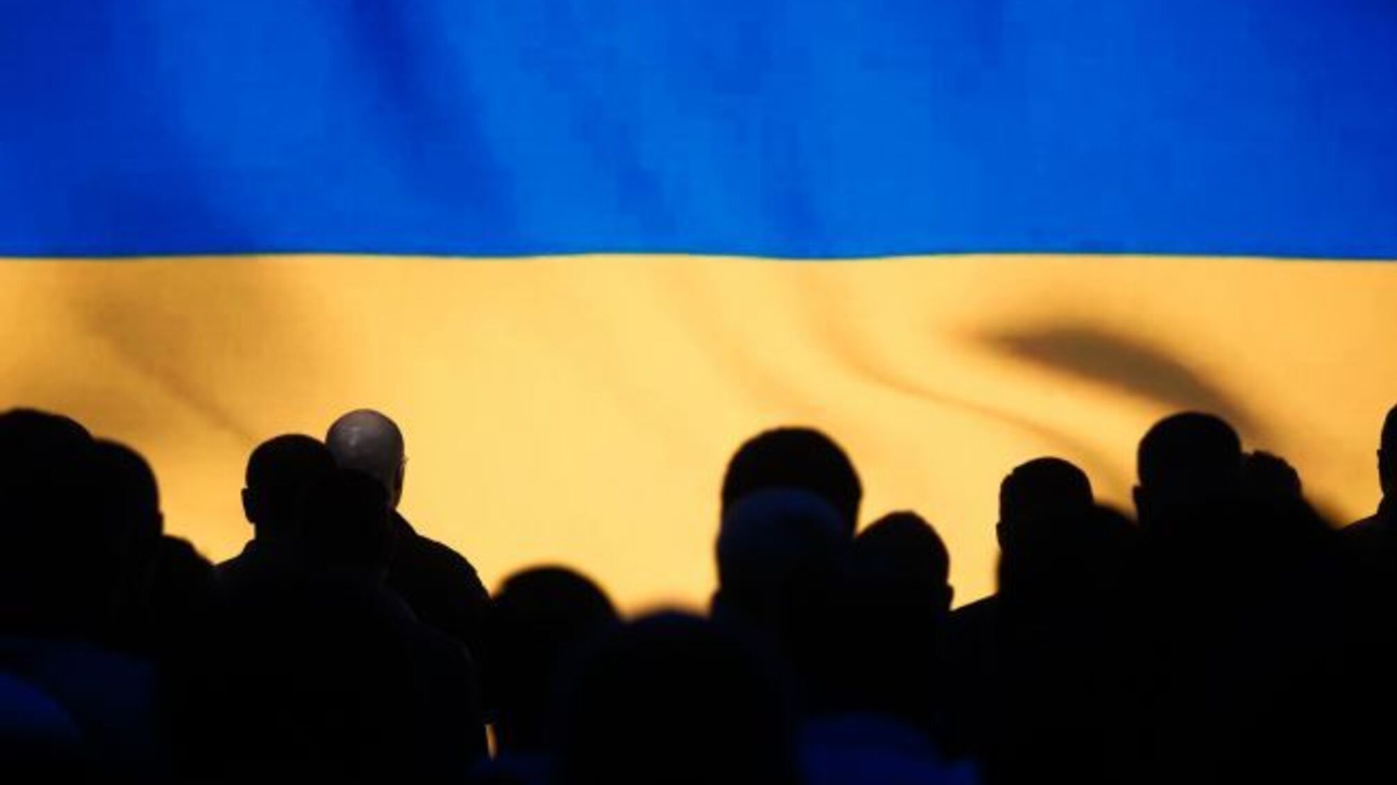 Фото до матеріалу: Тендер на бронежилети: компанія без досвіду виграла контракт ДОТ