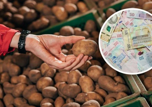Фото до матеріалу: Ціни на картоплю в Україні можуть різко зрости через дефіцит