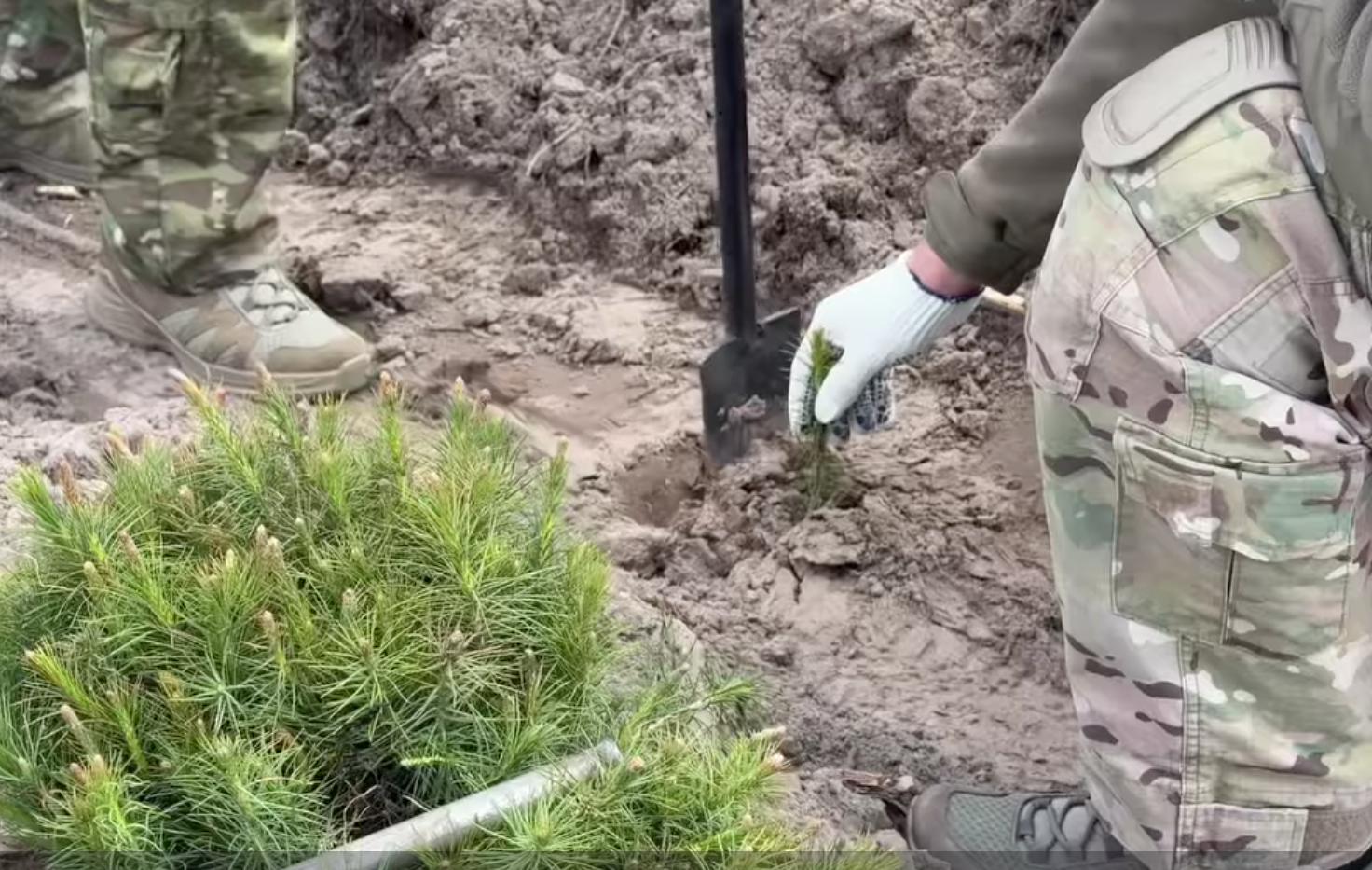 Фото до матеріалу: На Черкащині завершили весняну лісокультурну кампанію: висадили понад 5 мільйонів сіянців