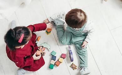 Фото до матеріалу: Ціни на помідори в Україні знизяться: на ринку з'явилися вітчизняні тепличні томати