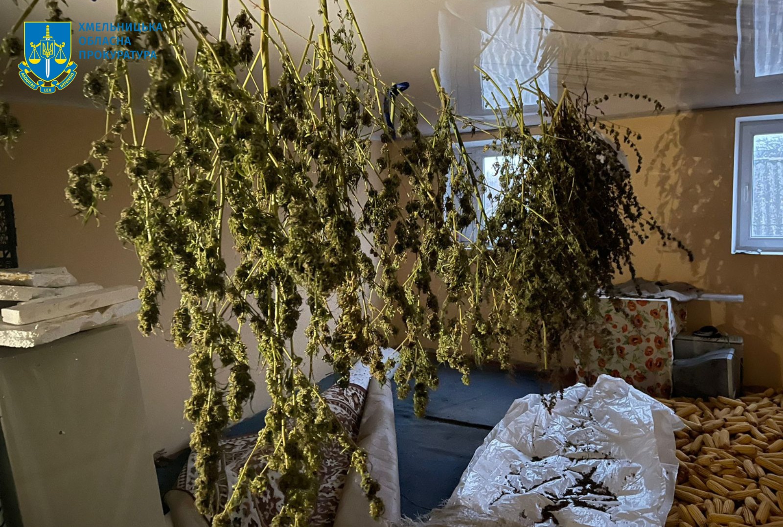 Фото до матеріалу: На Хмельниччині викрили потужну нарколабораторію: затримано організатора та банду