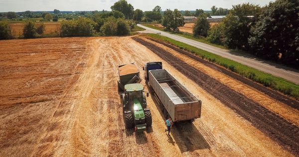 Фото до матеріалу: Україна збере більше 31 млн т кукурудзи і збільшить експорт ячменю у понад 2 рази. Що ще прогнозує FAS USDA в новому сезоні