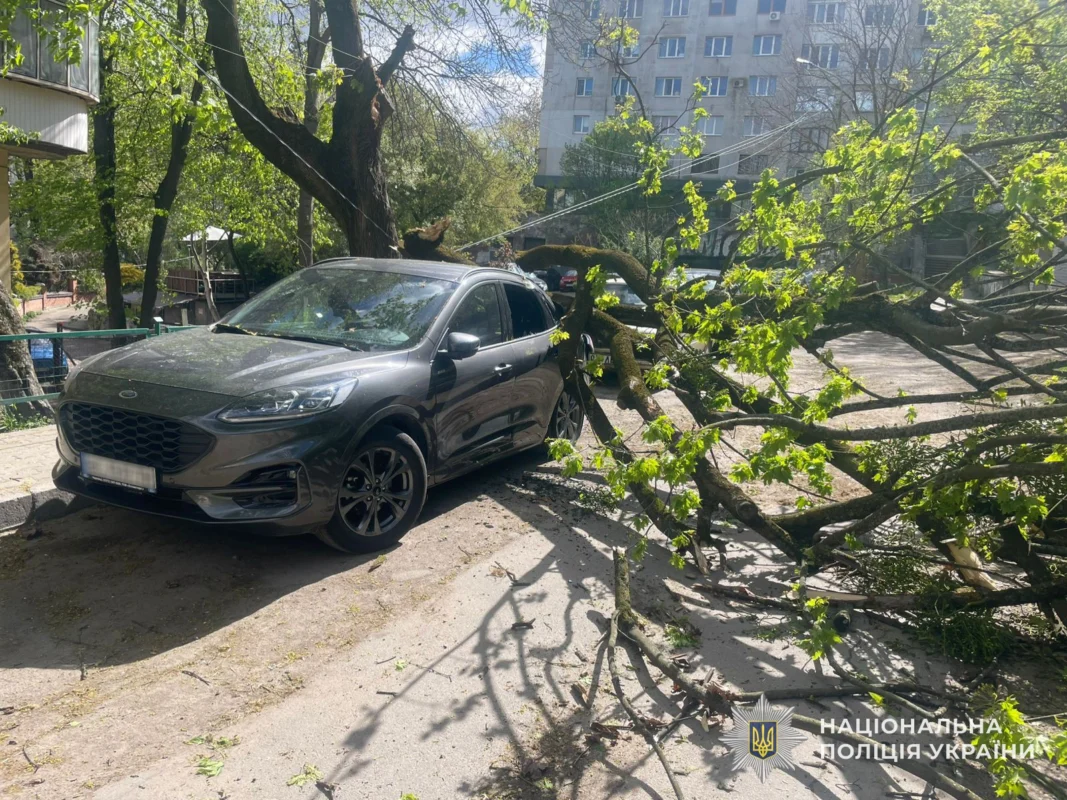 Фото до матеріалу: На Львівщині від негоди постраждав 46-річний водій