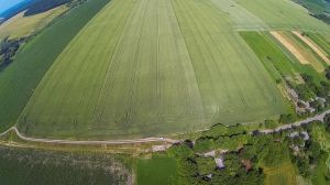 Фото до матеріалу: Ціни на зерно в Україні: що змінюється 4 травня 2026 року