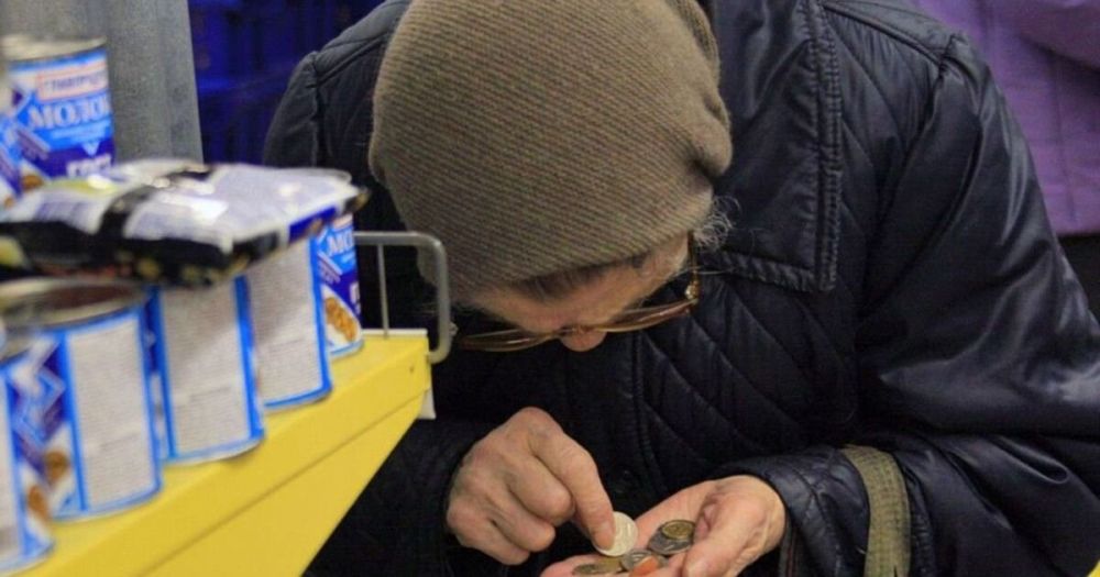 Фото до матеріалу: Ціни на огірки в Україні різко впали: за тиждень вартість продукту знизилася на п'яту частину