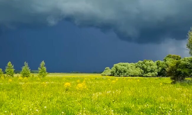 Фото до матеріалу: Національний кешбек за березень: українці отримують гроші, вперше виплати поширили на пальне