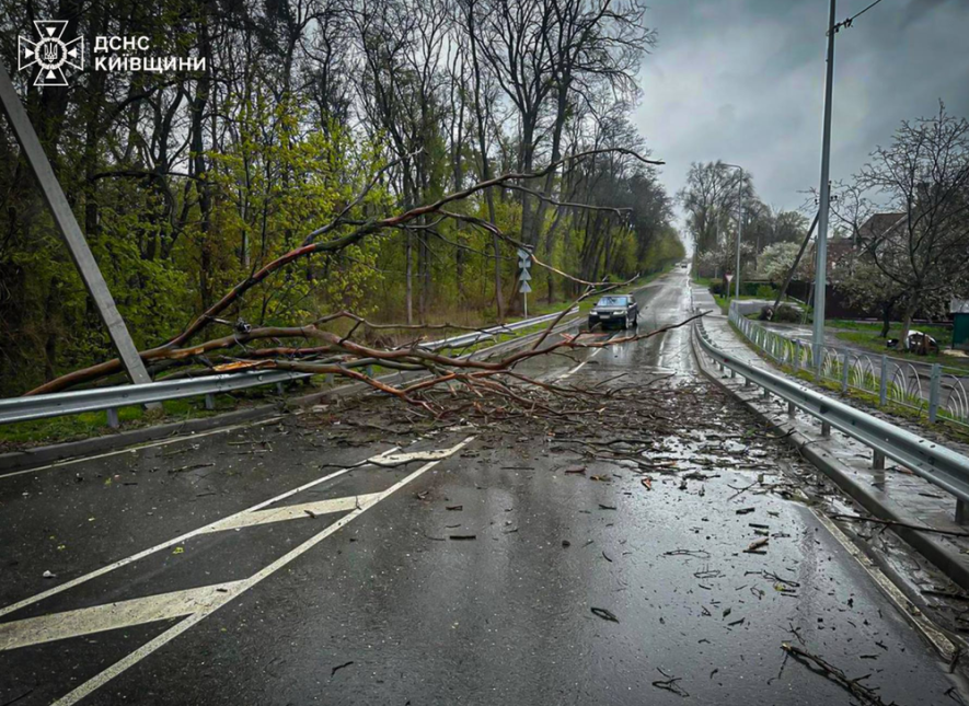 Фото до матеріалу: Екологічне лихо: що відбувається на Київщині, - ФОТО