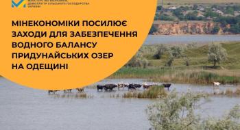 Фото до матеріалу: Аграрний сектор України: актуальні новини вирощування