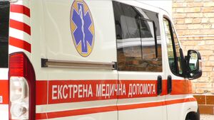 Фото до матеріалу: Понад 240 рятувальників гасять лісову пожежу на Мукачівщині