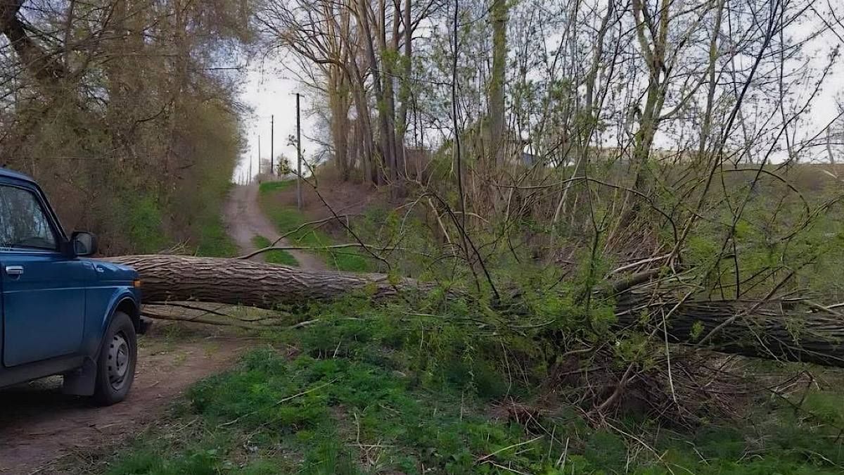 Фото до матеріалу: Оновлення: усі публікації журналістки Юлії Любченко про Київ
