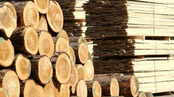 Фото до матеріалу: Львівські деревообробники виготовили продукції майже на 210 мільйонів гривень