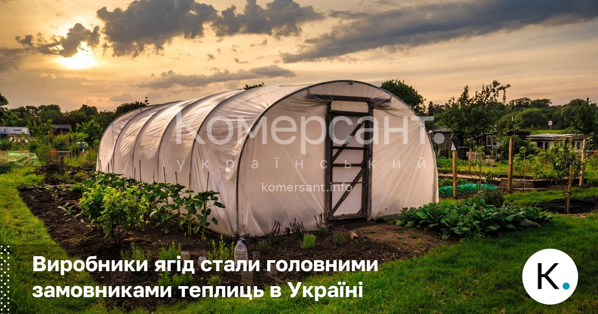 Фото до матеріалу: Виробники ягід стали головними замовниками теплиць в Україні
