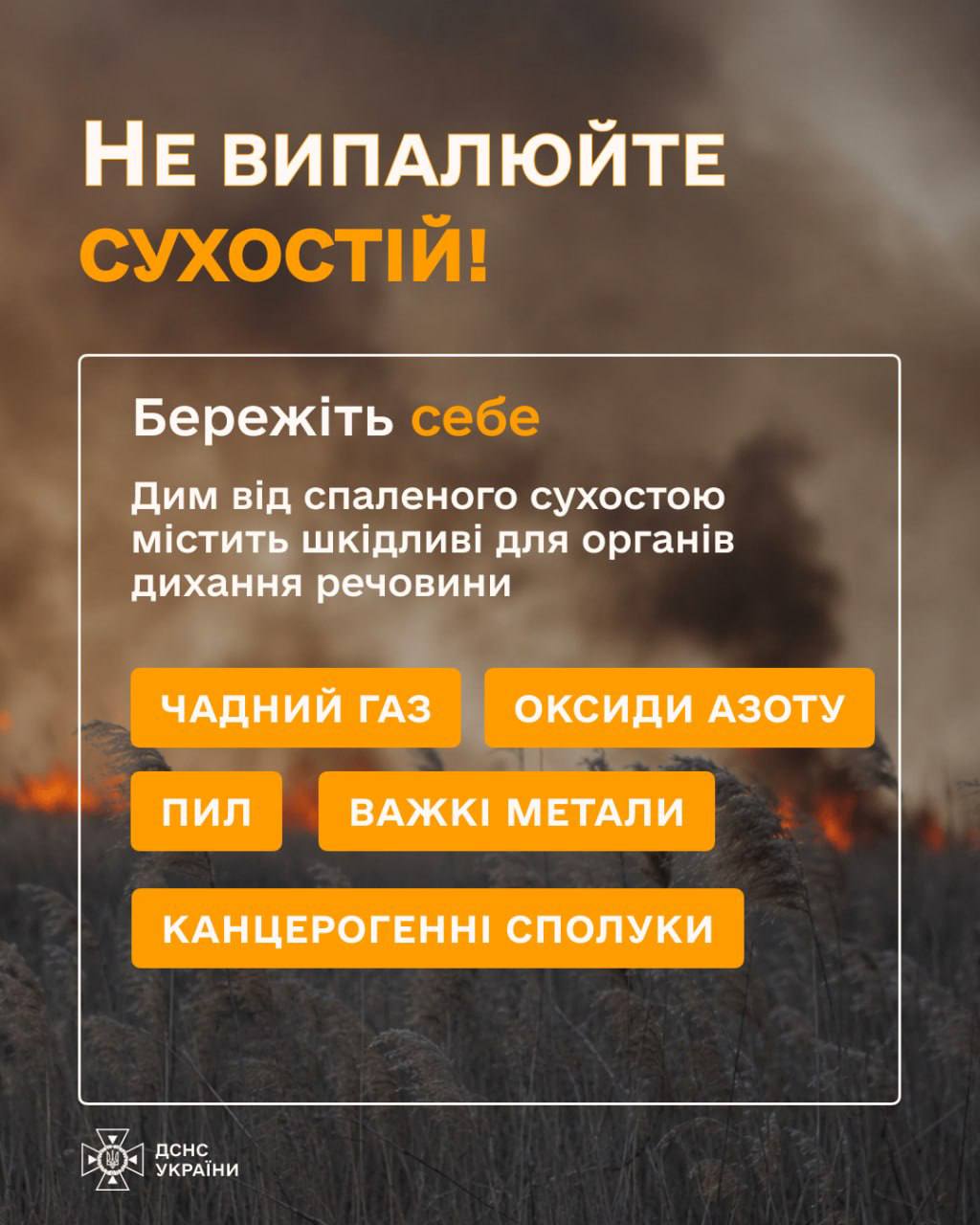 Фото до матеріалу: Пожежі в екосистемах випалили майже 2250 гектарів землі