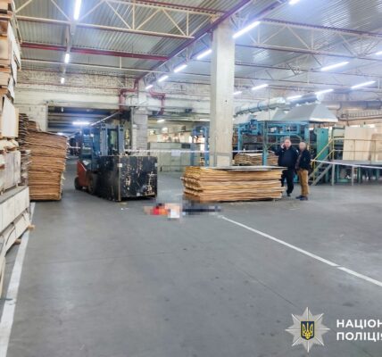 Фото до матеріалу: Судитимуть водія фургона за смертельне ДТП на переході в Рівненському районі