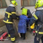 Фото до матеріалу: Як отримати багатий врожай полуниці у травні 2026: секрети підживлення та догляду