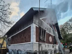 Фото до матеріалу: Львівщина за добу: 38 пожеж, з них 28 — у природі, рятувальники врятували дві будівлі