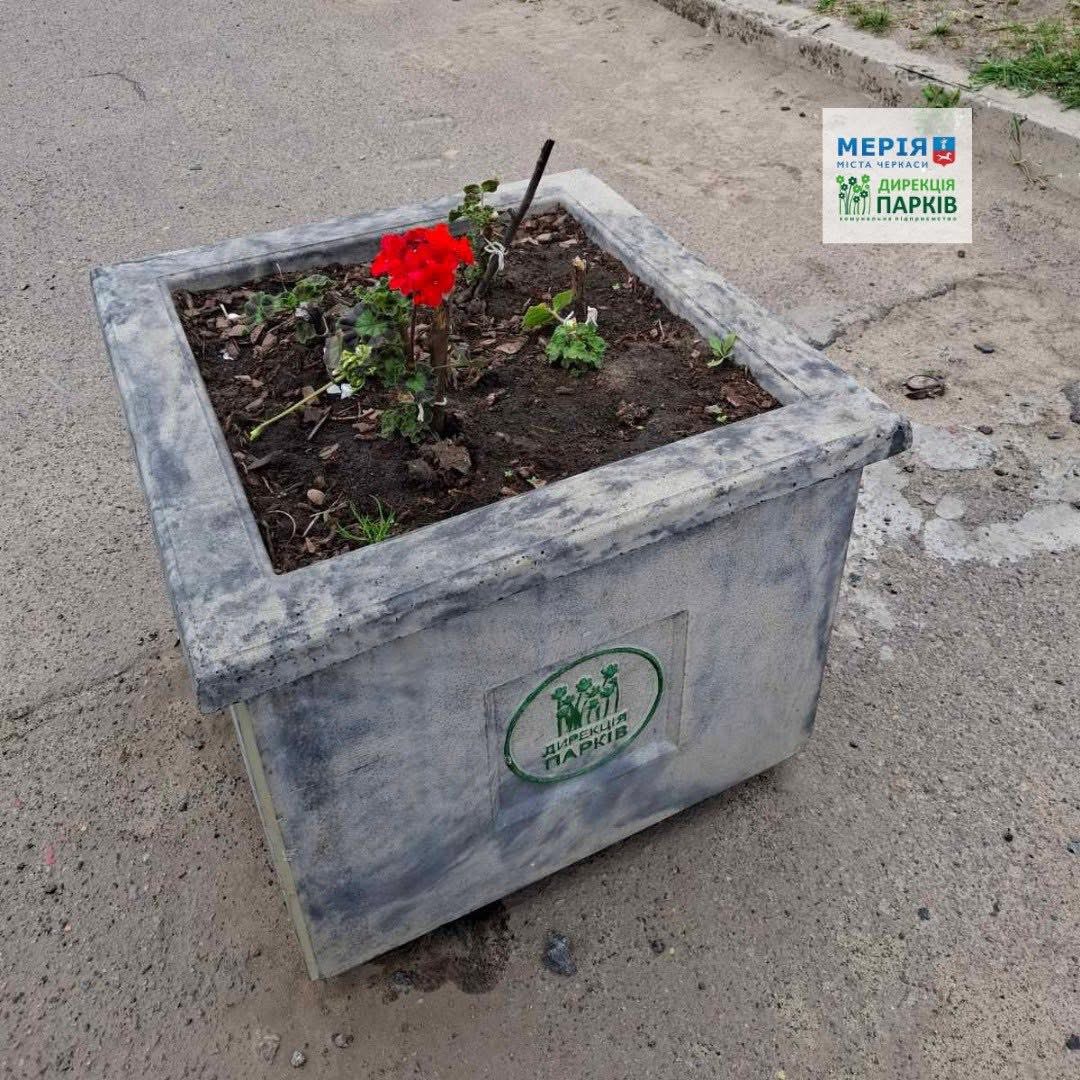 Фото до матеріалу: У Черкасах вандалізм пошкодив квіткові композиції на Набережній та у сквері «Юність"