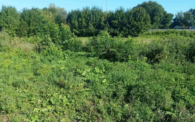 Фото до матеріалу: Корецька міська рада оголосила земельні аукціони: на торги виставили п'ять ділянок