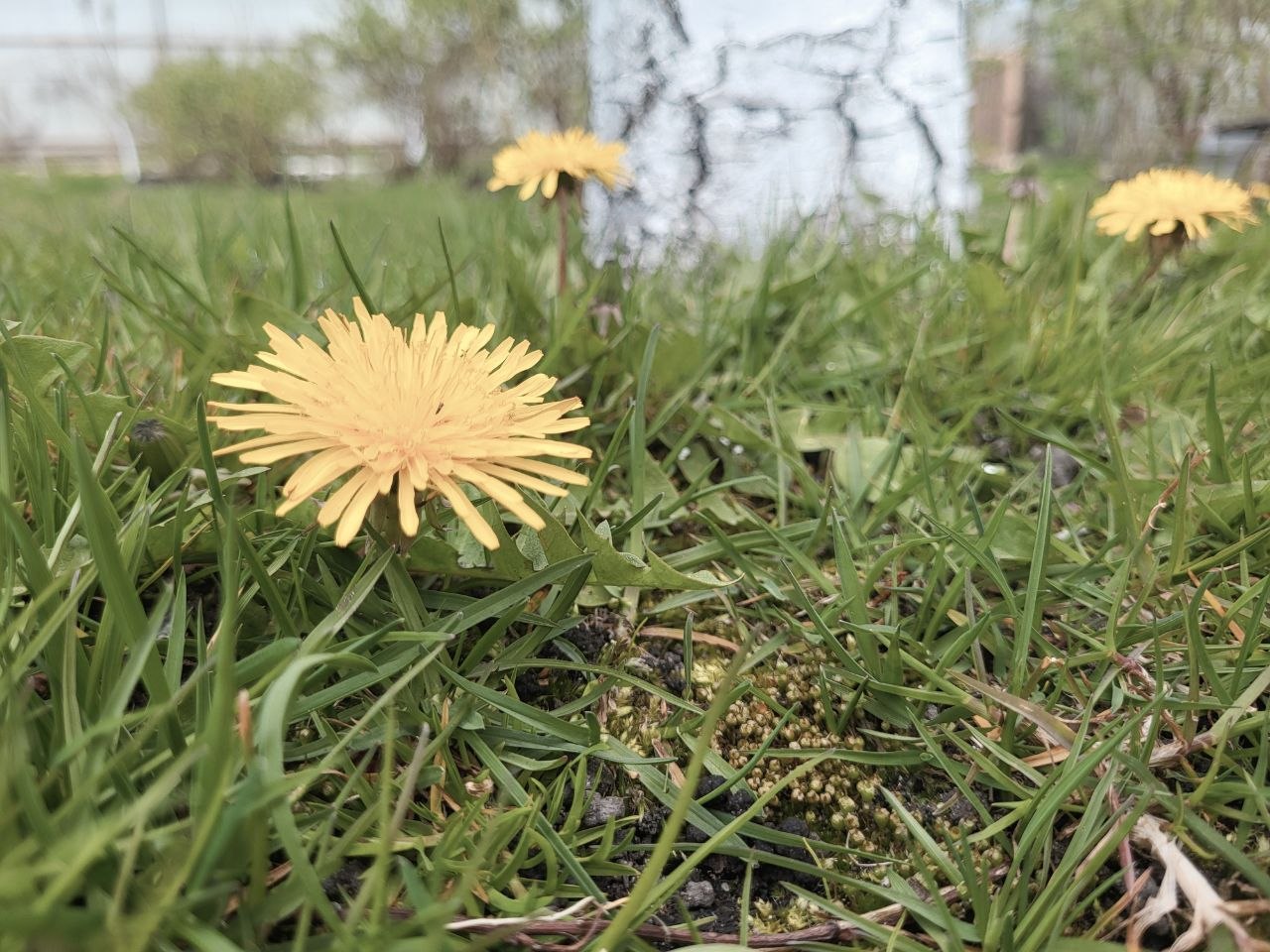 Фото до матеріалу: Погода в Шацьку на середу, 29 квітня