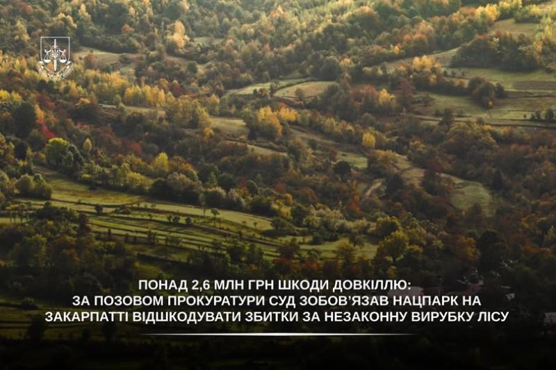 Фото до матеріалу: Ужанський нацпарк зобов'язали сплатити 2,6 млн грн за незаконну вирубування лісу