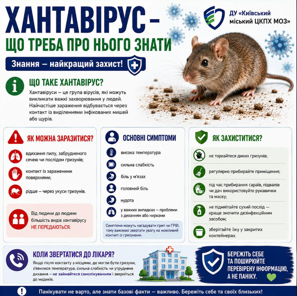 Фото до матеріалу: Хантавірус: симптоми, як захиститися та коли терміново викликати лікаря