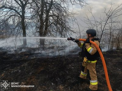 Фото до матеріалу: 25 березня в Миколаївській області ліквідовано 8 пожеж
