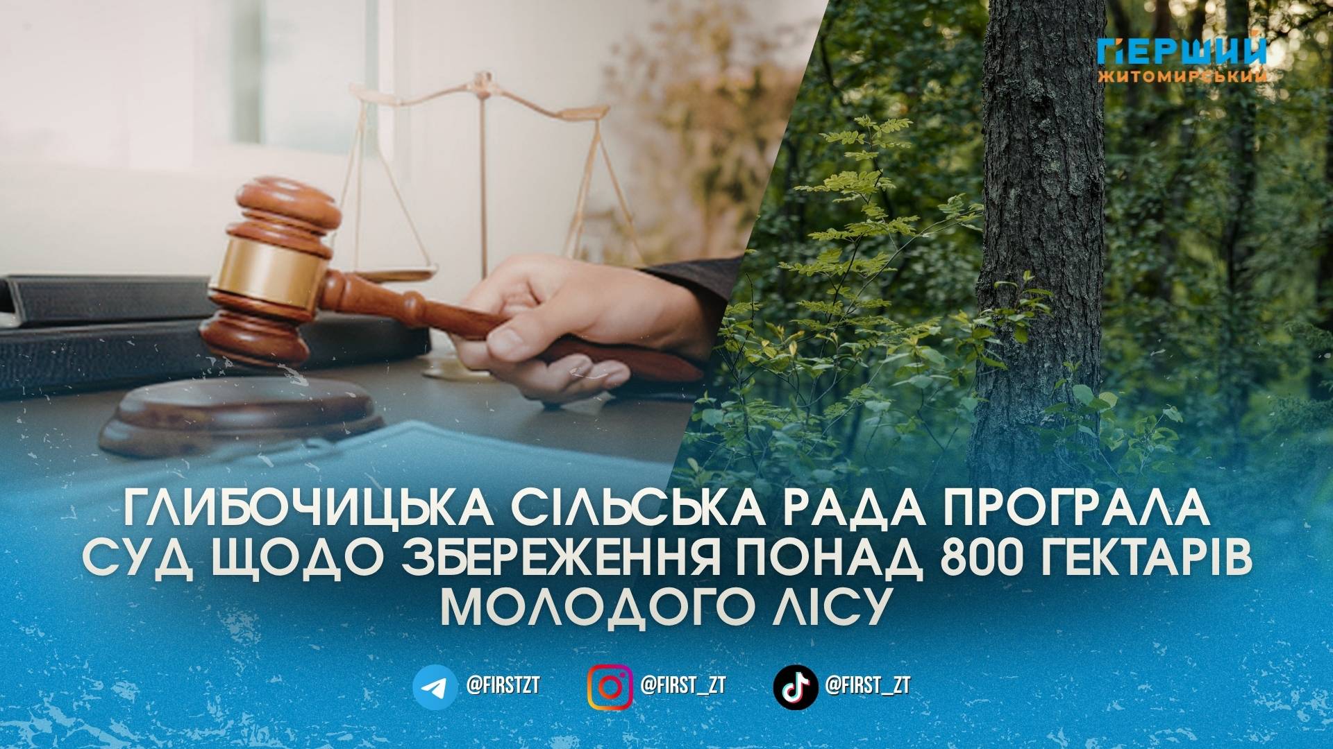 Фото до матеріалу: Суд зобов’язав Глибочицьку сільську раду надати статус понад 800 гектарам самозаліснених земель