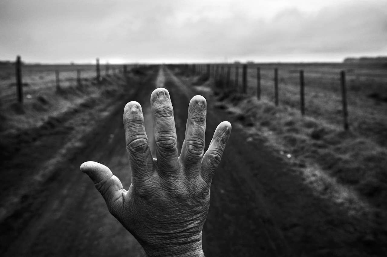 Фото до матеріалу: Ведмедиця їсть кашалота і ялинка у вогні: World Press Photo 2026
