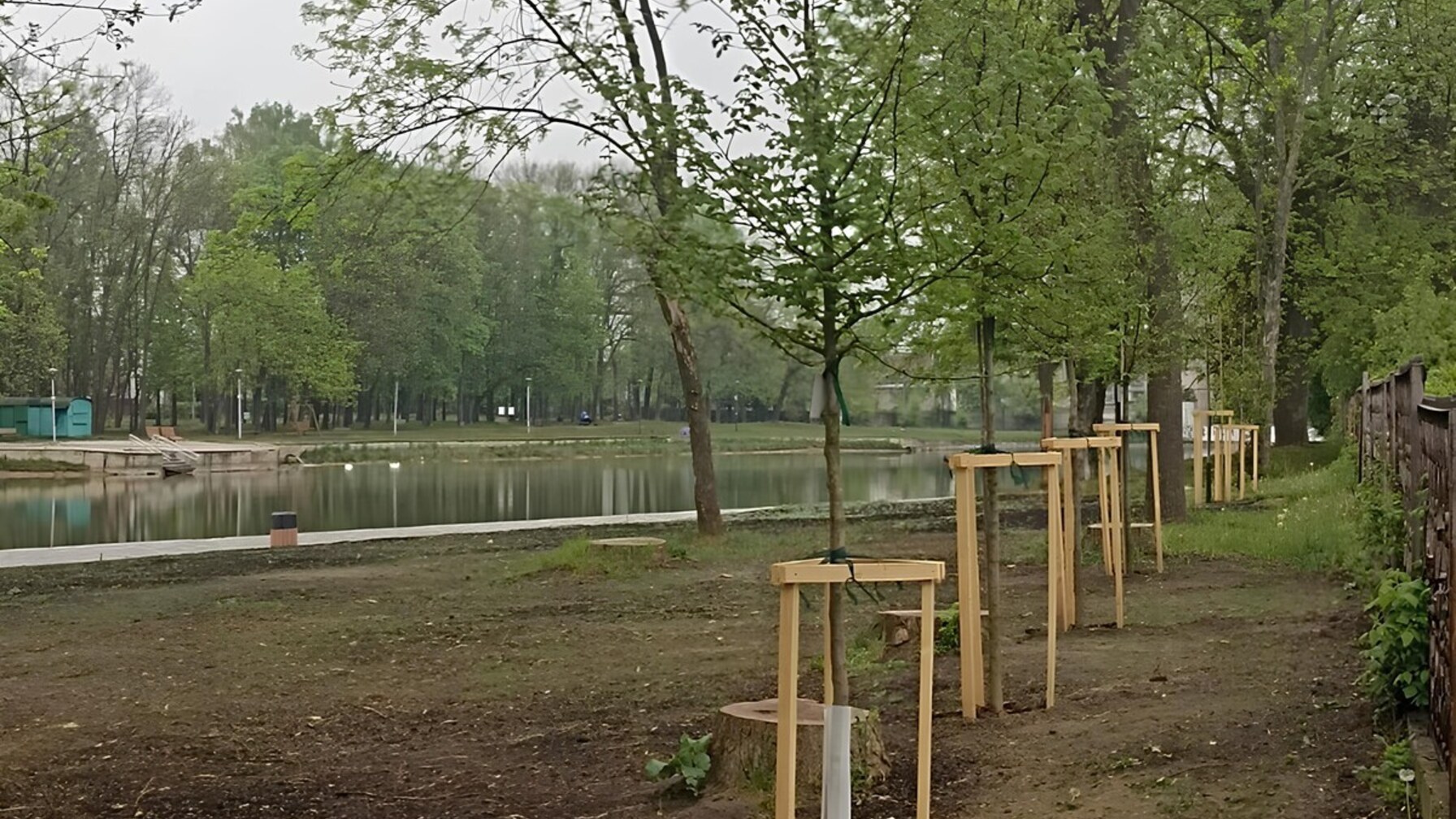 Фото до матеріалу: На Левандівці висадили сім нових дерев: дуби та граби прикрасять парк біля озера