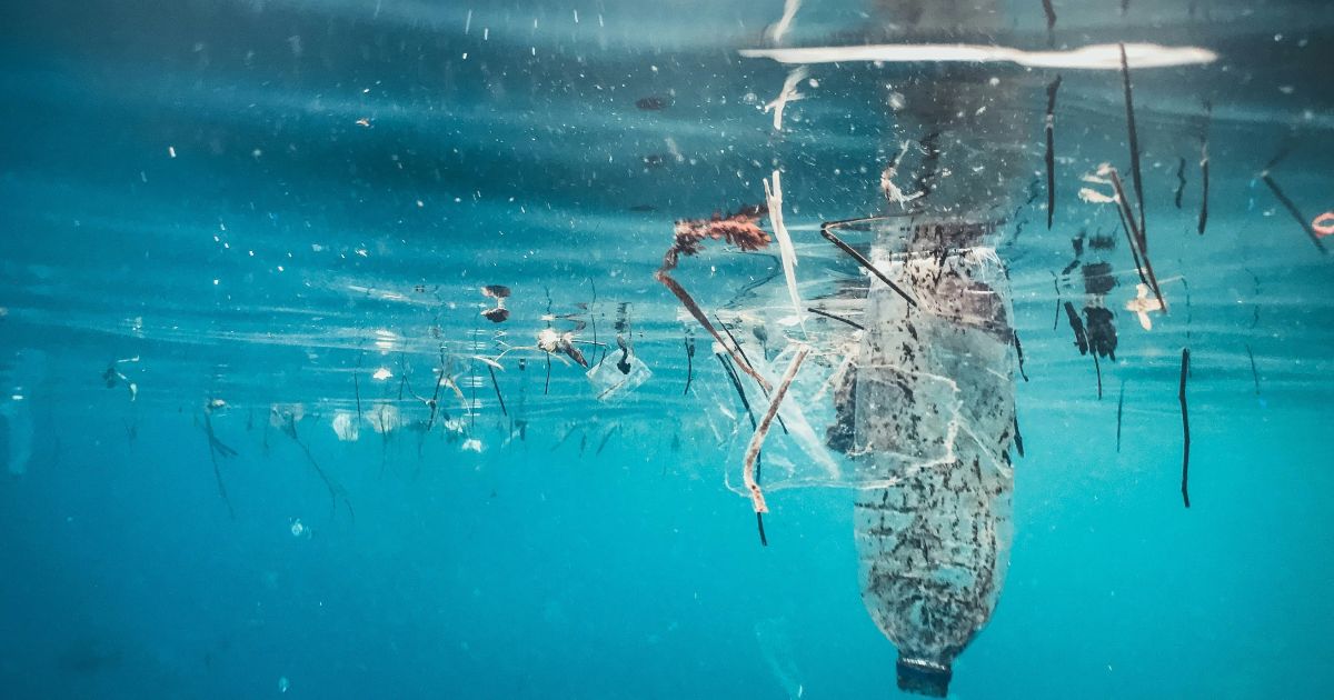 Фото до матеріалу: Вчені створили «живий пластик», який розкладається за командою