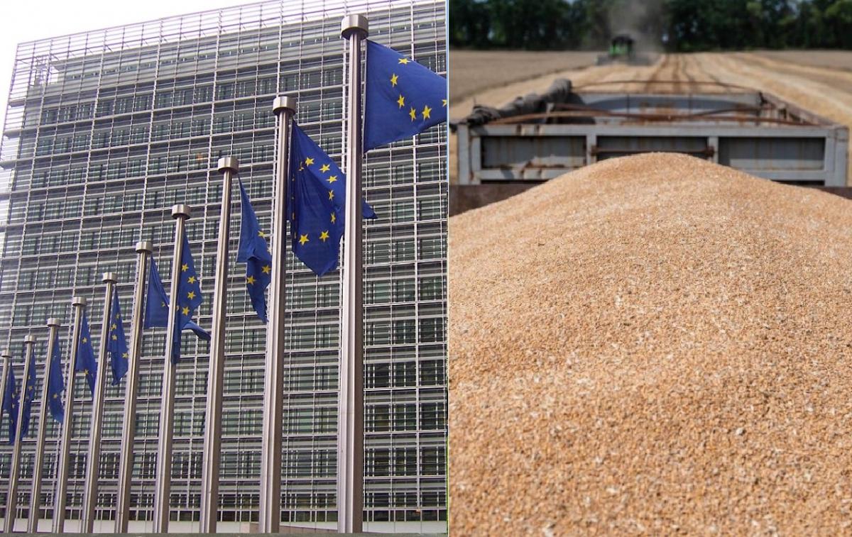 Фото до матеріалу: ЄС і Україна стануть найбільшим виробником аграрної продукції у світі, але є ризики конфлікту на кордонах