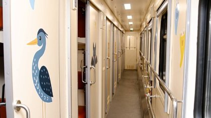 Фото до матеріалу: Перше на Закарпатті погруддя Лесі Українки відкрили перед УжНУ