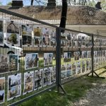 Фото до матеріалу: Понад 70% шкіл та садків Івано-Франківщини мають порушення в харчуванні