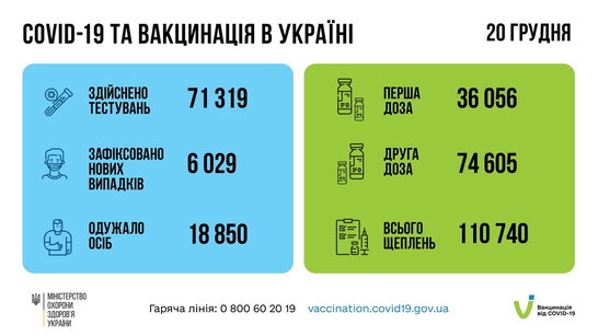 Фото до матеріалу: Підмаренник чіпкий: народна «лікарня» для печінки чи небезпечний бур'ян?