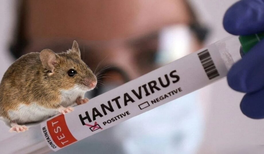 Фото до матеріалу: У Нідерланди прибули 28 пасажирів лайнера MV Hondius