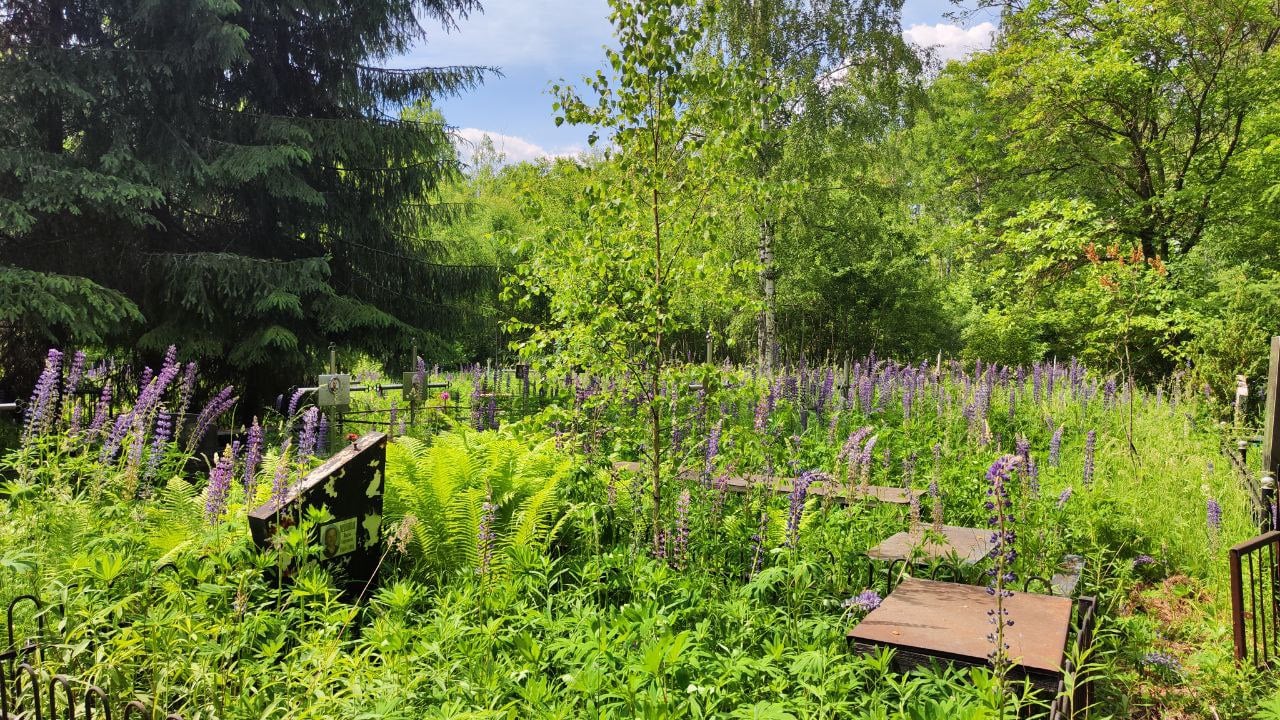 Фото до матеріалу: Науковиця про стан ЗАЕС: реактори вимкнені, але станція вже є аварійною