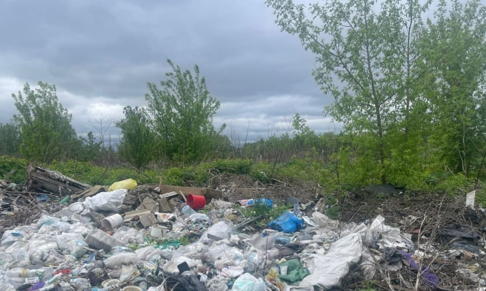 Фото до матеріалу: Парк «Партизанська слава» звільнили від кафе: рішення суду виконано