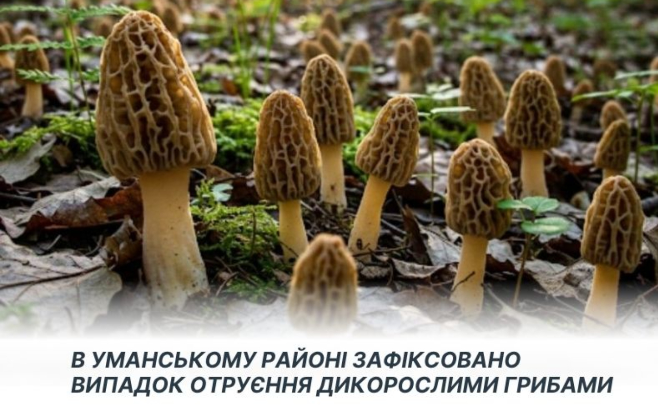 Фото до матеріалу: Черкащанка отруїлася грибами, які придбала на ринку