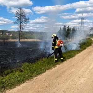 Фото до матеріалу: На Львівщині за добу спалили понад 2,4 га землі: рятувальники попереджають про штрафи