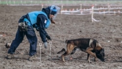 Фото до матеріалу: Україна замінована на 23%: нові технології та реальні терміни очищення