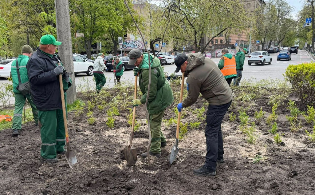 Фото до матеріалу: Замість МАФів — зелена зона: біля Львівської площі з'явилася нова оаза