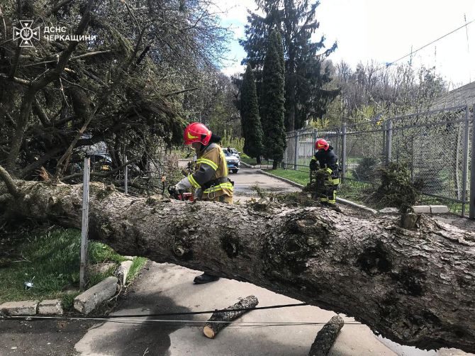 Фото до матеріалу: 45 повалених дерев прибирали рятувальники Черкащини під час буревію — ПРОЧЕРК.інфо
