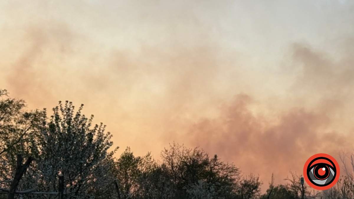 Фото до матеріалу: У Небиліві локалізували велику пожежу лісової підстилки