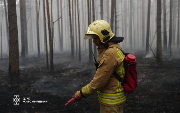 Фото до матеріалу: Головне за 8 травня: триденне перемир'я, 200 зіткнень на фронті та лісові пожежі