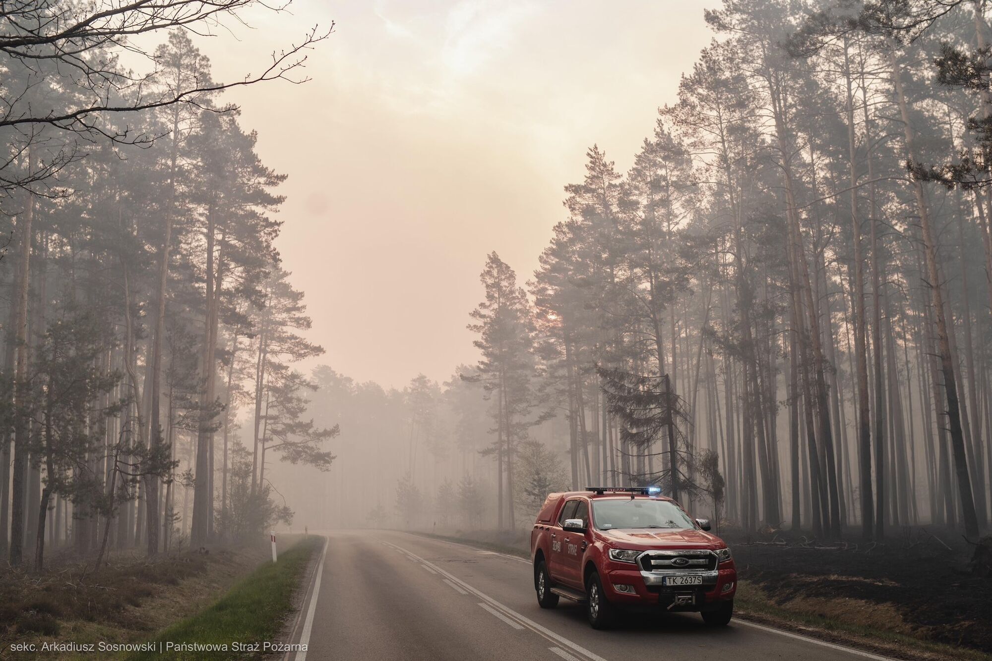 Фото до матеріалу: Трагедія у польському лісі: загинув пілот під час гасіння масштабної пожежі