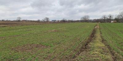 Фото до матеріалу: Де в Кременчуці завтра вимикатимуть світло (Планові відключення)