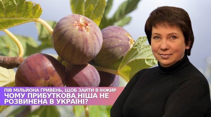 Фото до матеріалу: М'ясна революція: як технології копчення змінюють ринок продуктів в Україні