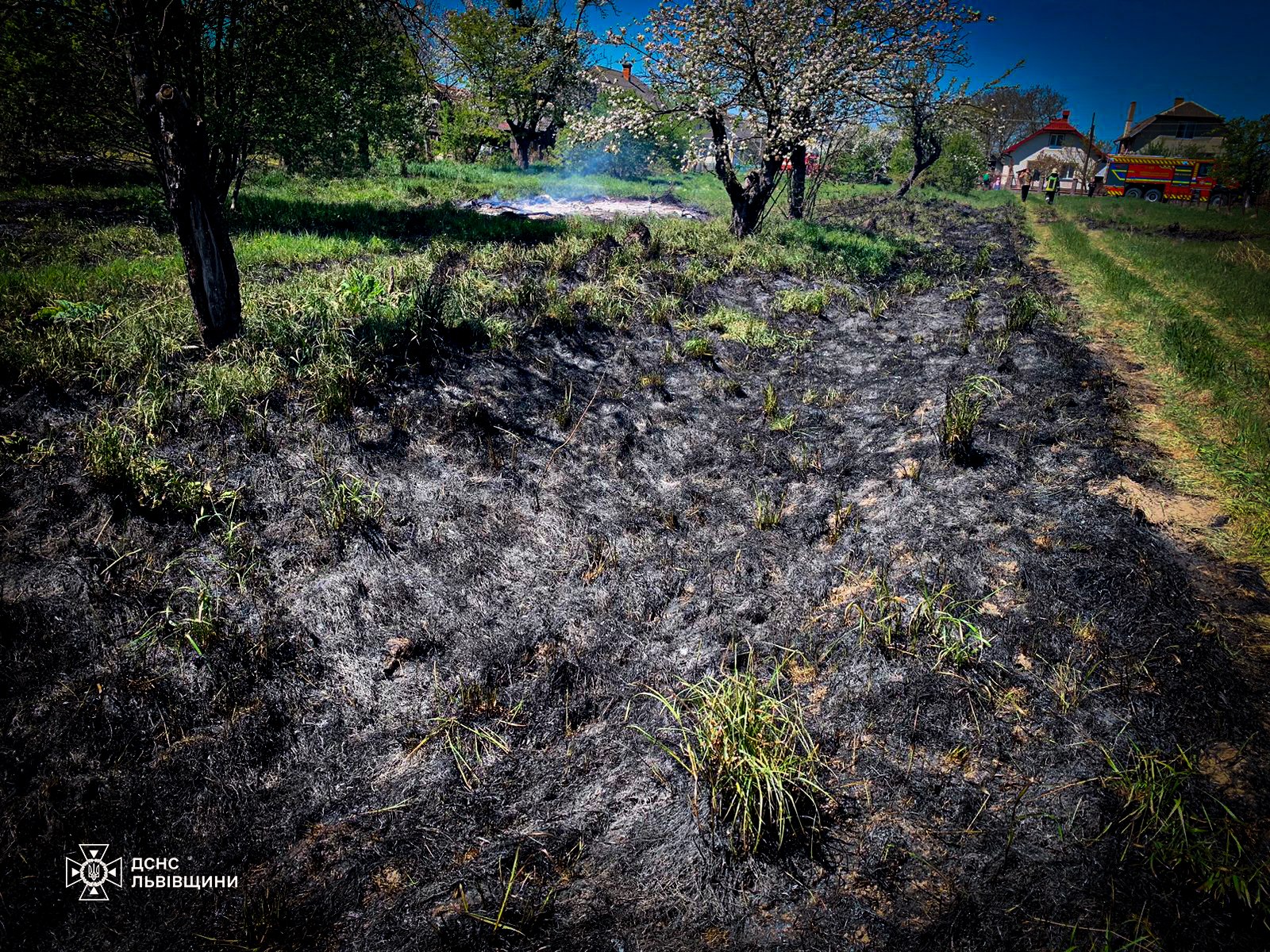 Фото до матеріалу: Жінка опіклася спалюванням сухостою в селі Підгірці на Стрийщині