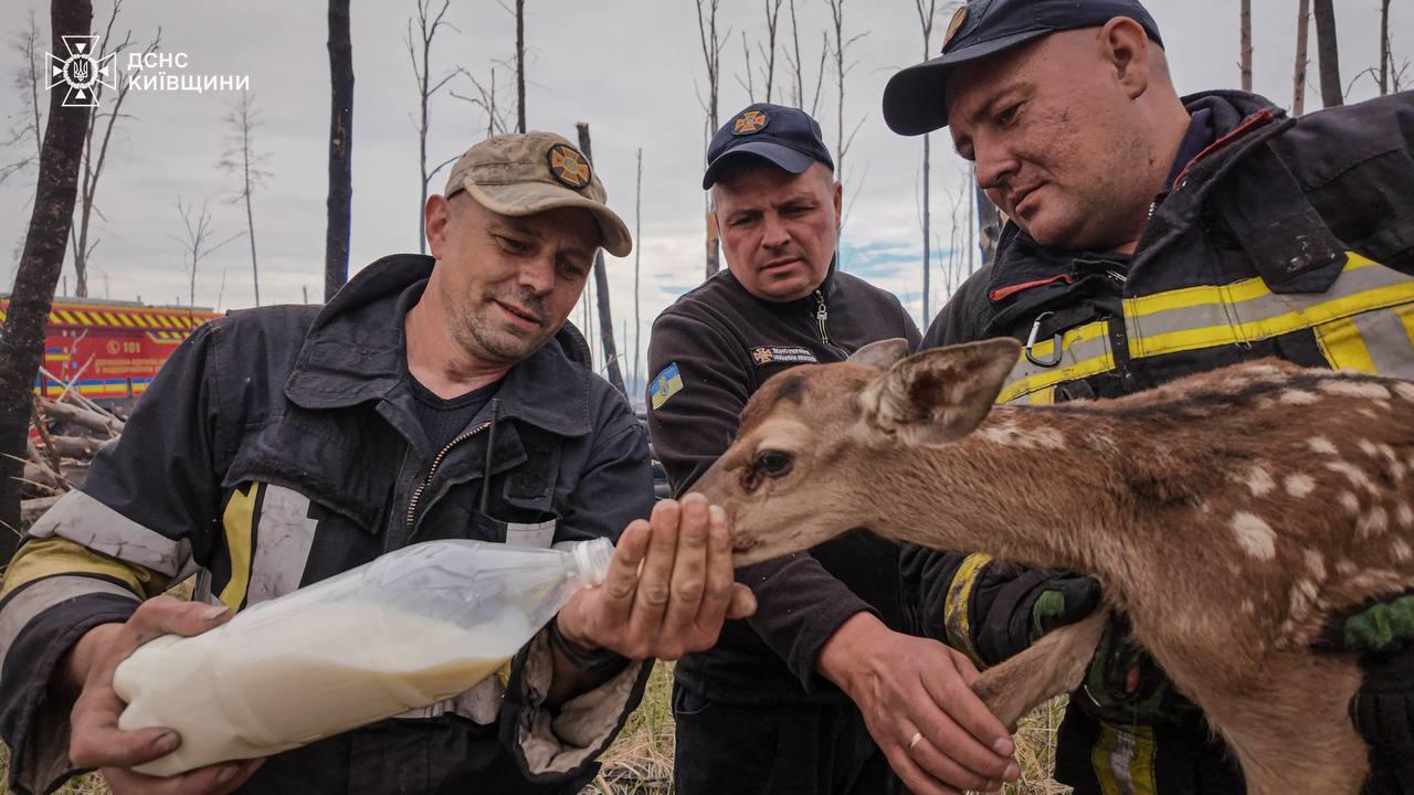 Фото до матеріалу: Час спеки та інтенсивного пиття води: яку пляшку не варто купувати