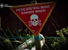Фото до матеріалу: Буська РДА закликає жителів не спалювати суху траву: загроза пожеж та відповідальність